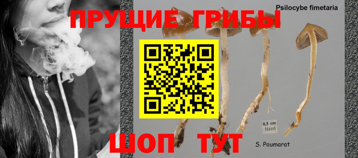 Галлюциногенные грибы MAGIC MUSHROOMS Фрязино