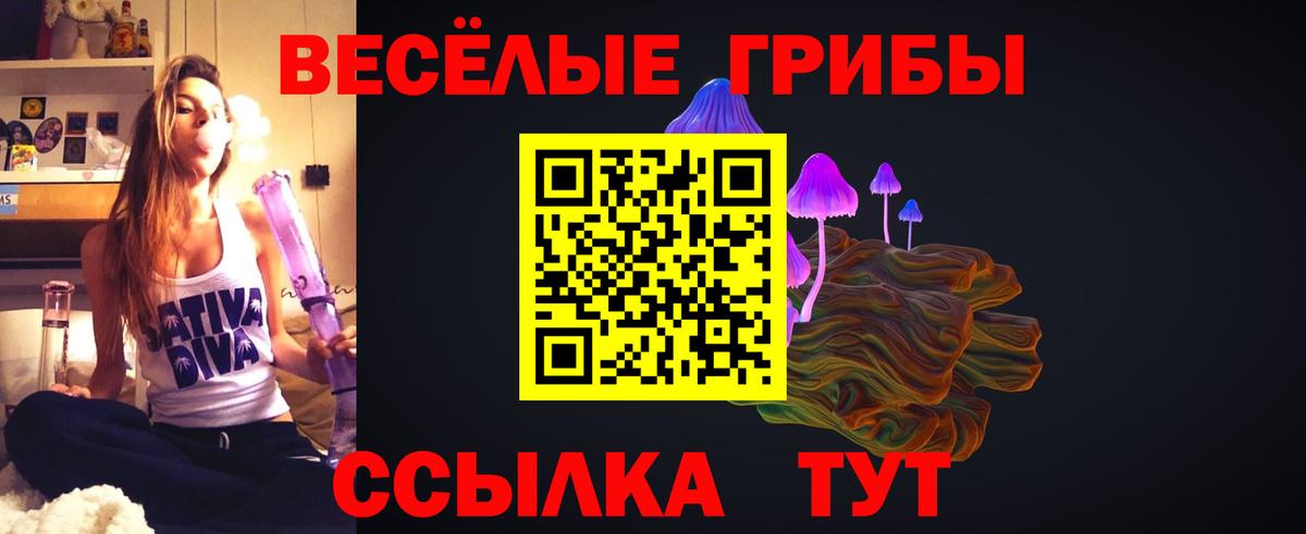Фрязино  Галлюциногенные грибы Psilocybe  хочу   Вход с VPN  Псилоцибиновые грибы мухоморы 